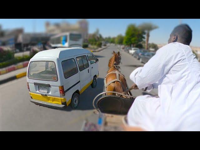 À 2 doigts d'écraser notre cheval sur la route ... 