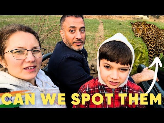 Mann Family Chasing Leopards in Rajasthani Jungle