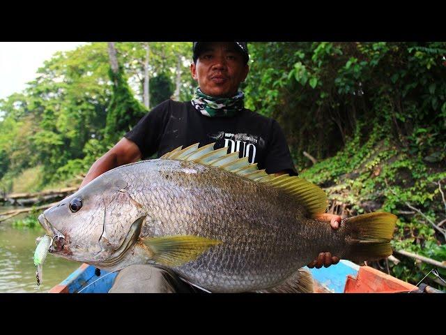 Going Beast Mode Vol.3: Papuan Bass Mantap with Gong Lei