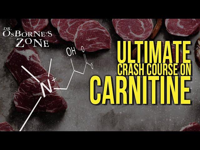 Ultimate Crash Course on Carnitine - Dr. Osborne's Zone