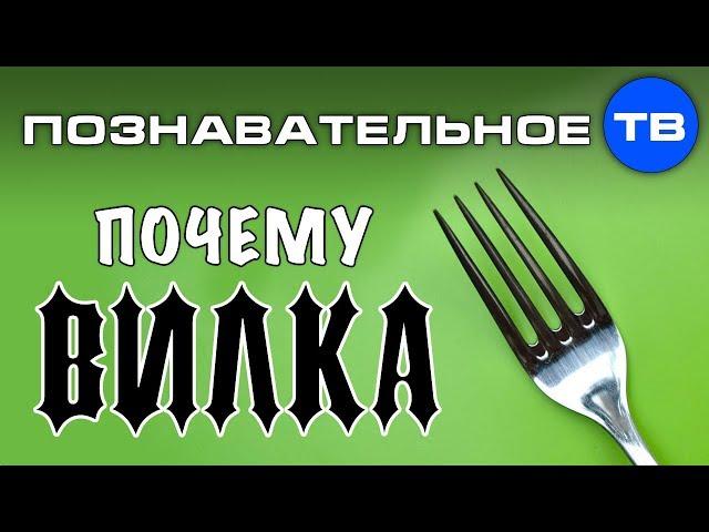 Почему она ВИЛКА? (Познавательное ТВ, Артём Войтенков)