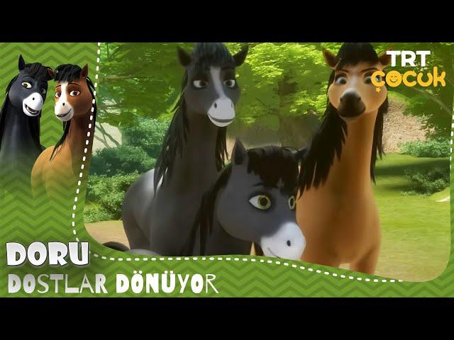 Doru | Dostlar Dönüyor