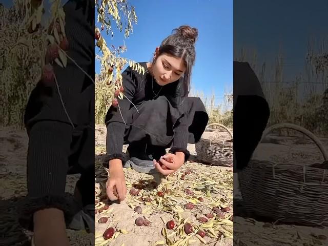 Village Life: Uyghur Girl Cooks Traditional Red Date Soup