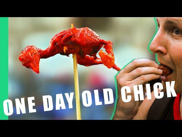 One Day Old (Baby Chicks) - Philippines Street Food