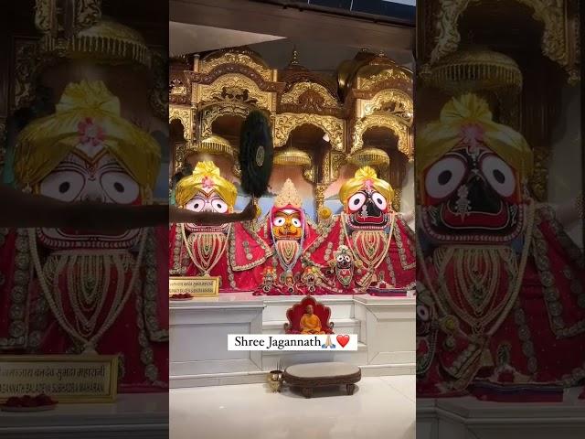 jay jagannath #lordkrishna #jagannath #balaram #subhadra #harekrisna