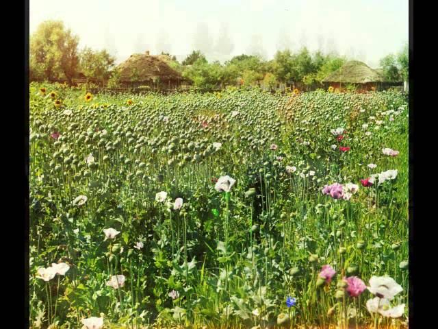 From Olden Times (Early 1900's colour pictures by Sergei Prokudin-Gorsky)