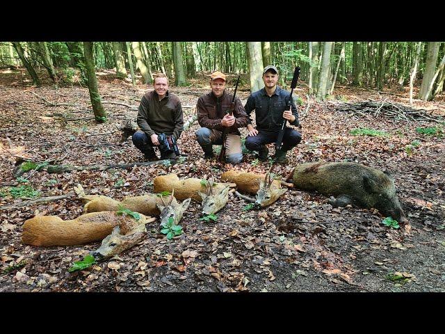 Sauen & Bockjagd im Urwald von Meckpomm | Hunt on Demand Free Episode - Jagdkrone