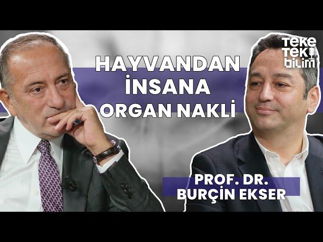 Hayvandan insana organ nakli? / Prof. Dr. Burçin Ekser & Fatih Altaylı - Teke Tek Bilim