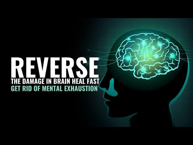 Reverse The Damage In Brain Heal Fast | Upgrade Your Retained Ability | Get Rid Of Mental Exhaustion