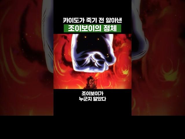 원피스) 카이도가 죽기 전 알아낸 조이보이의 정체