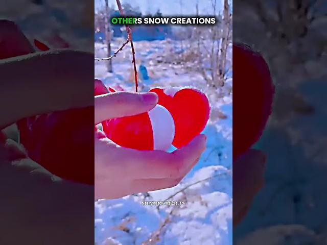 Others Snow Creations Vs Last One ️
