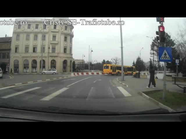 Papagalul zilei hartuieste un autobuz!