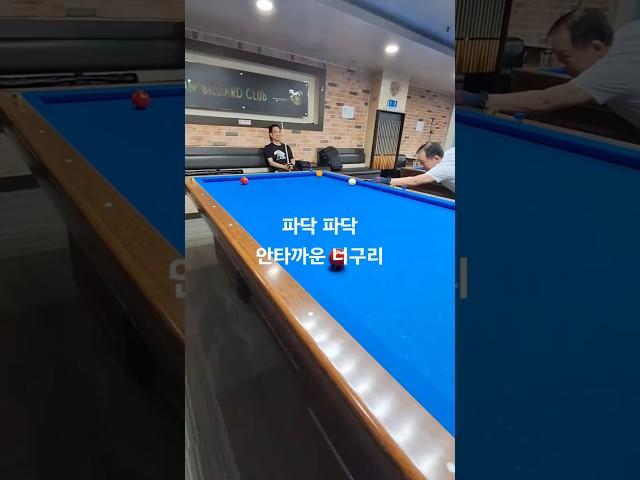 파닥 파닥 안타까운 너구리