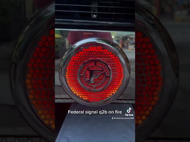 Federal q2b led lights inside