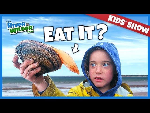 KIDS CATCH AND EAT MYSTERY SEAFOOD ON PEI BEACH | KIDS FUN | RIVER & WILDER