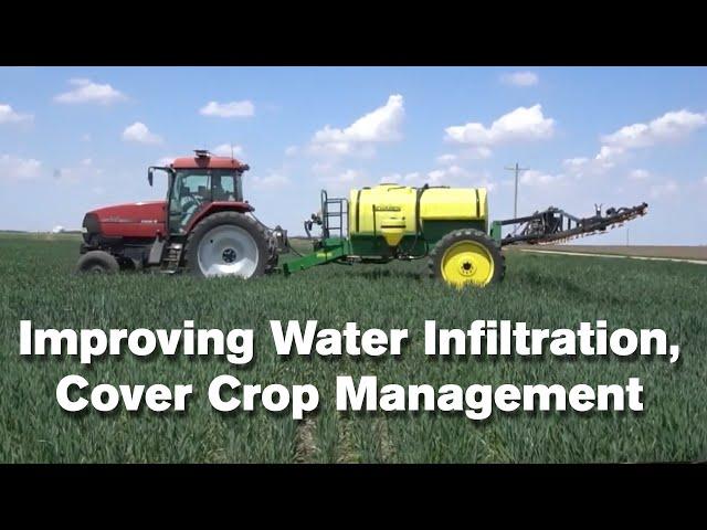 Improving Water Infiltration, Cover Crop Management with No-Till