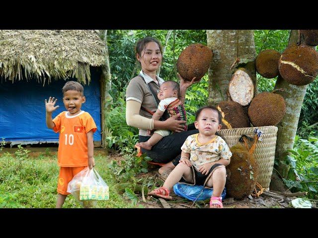 Harvesting super giant jackfruit for sale - the boy finds his own way home to his father