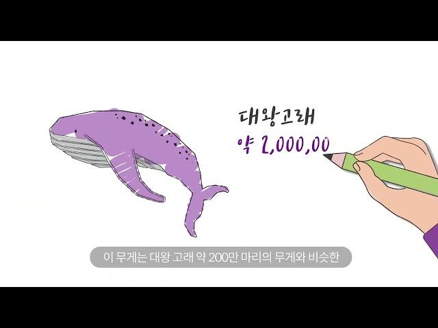 미세플라스틱 해결?? 생분해성 플라스틱!(microplásticos )