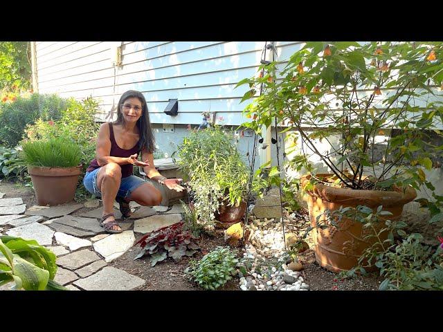 Building A Dry Creek Bed | Gutter Downspout Drainage Fixed | Planting Perennials