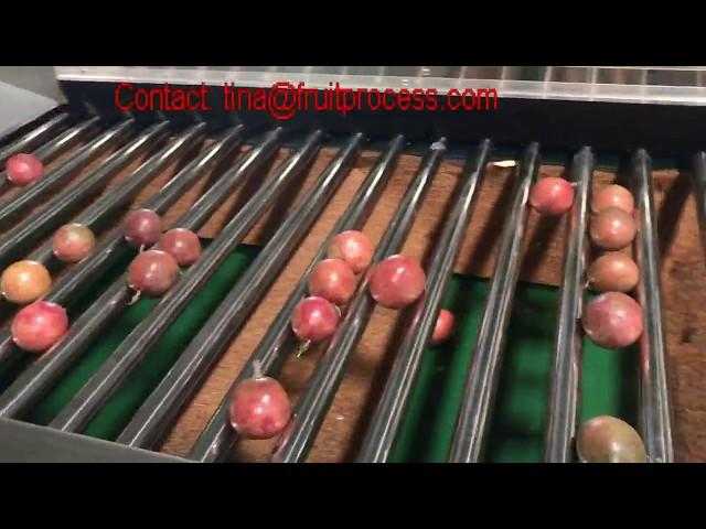 passion fruit sorting grading machine, granadilla processing machine