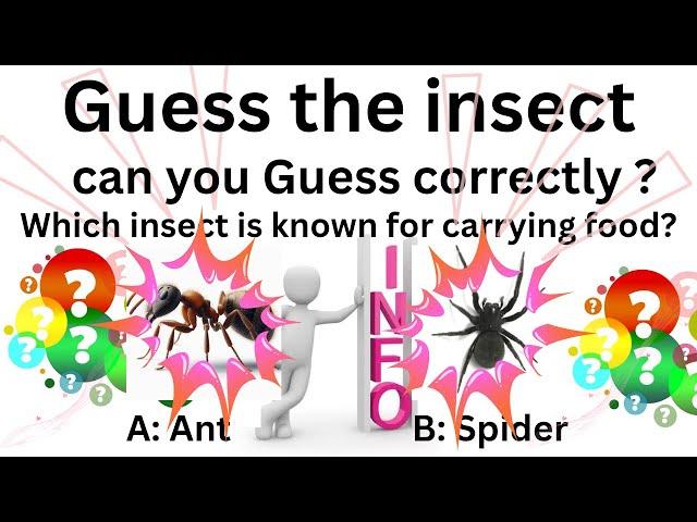 Guess the Insect - Fun Quiz | Can You Guess Correctly? With Brainy Bytes info
