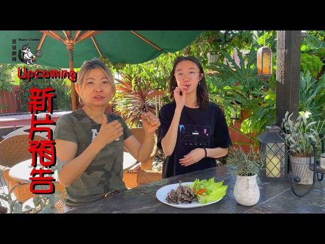 豆豆廚房 未來新片預告 Beanskitchen, What's upcoming?