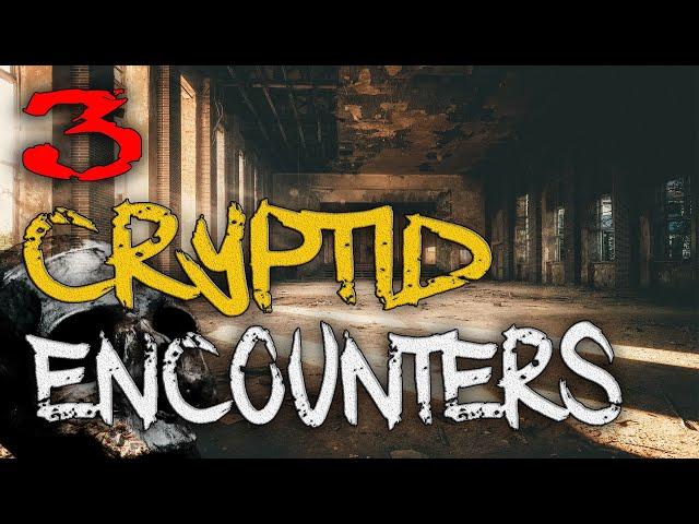 3 Totally Strange CRYPTID Encounters That I found Crazy