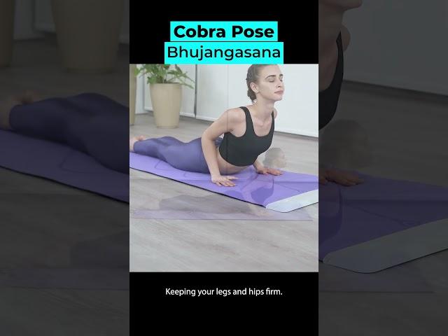 Cobra Pose | YogiFi