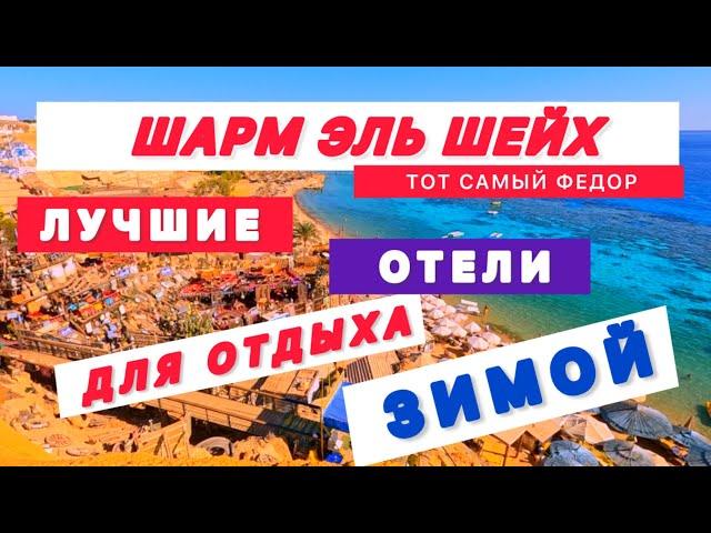 ЛУЧШИЕ ОТЕЛИ ДЛЯ ОТДЫХА ЗИМОЙ / ШАРМ ЭЛЬ ШЕЙХ / БЕЗВЕТРЕННЫЕ БУХТЫ ШАРМА / Топ 10 отелей для зимы