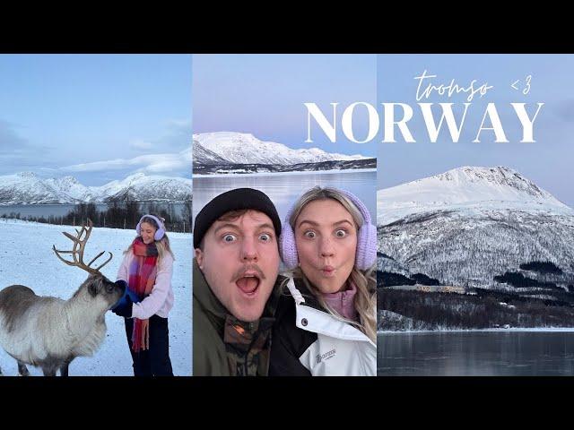 Tromsø Norway in 3 days | northern lights, feeding reindeer, & fjords boat tour !!!