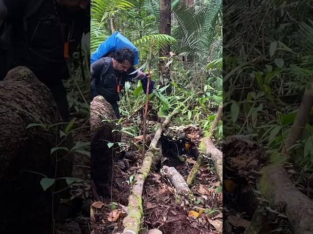 Begleite uns in den DSCHUNGEL des AMAZONAS!