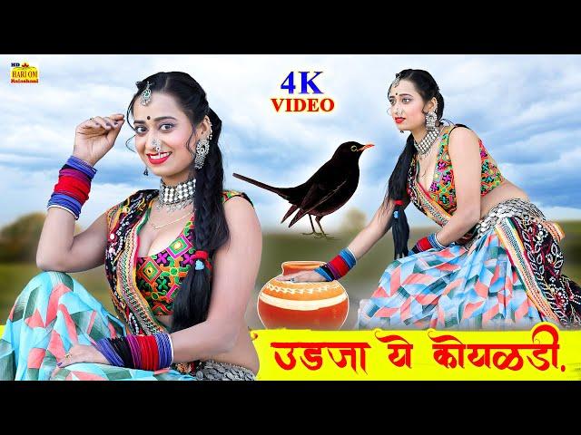 उड़ जा रे कोयलड़ी मारवाड़ी देसी न्यू फागण सोंग 2023 | Marwadi Video | Renu Rangili | Rajasthani Song