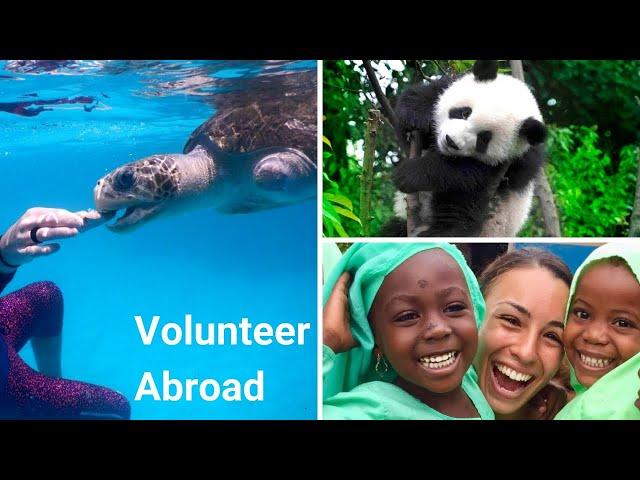 GoEco | Volunteering abroad with WILDLIFE, HUMANITARIAN & ENVIRONMENTAL programs