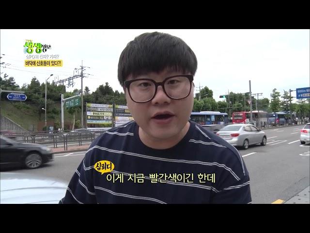 2tv 생생정보 - 심PD의 진짜? 가짜? 바닥에 신호등이 있다?!.20180711