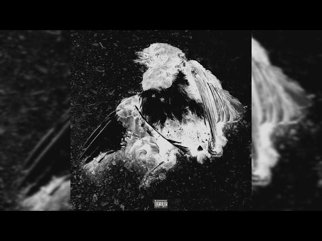 Pezhvak - Pich(Official Audio)