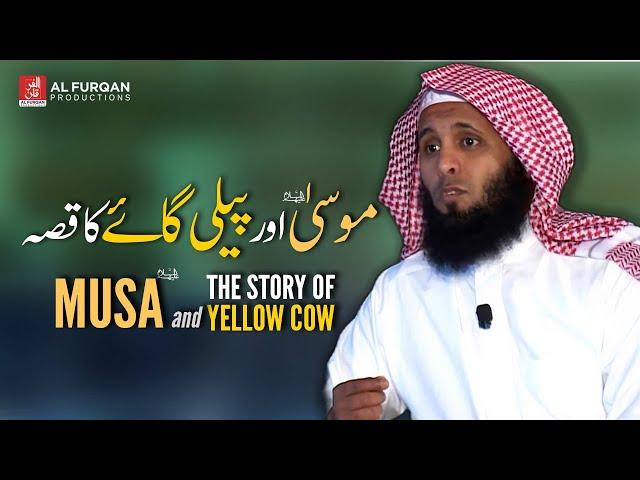 Musa and Story of Yellow Cow | Sheikh Mansour al Salimi منصور السالمي | Al Furqan Productions