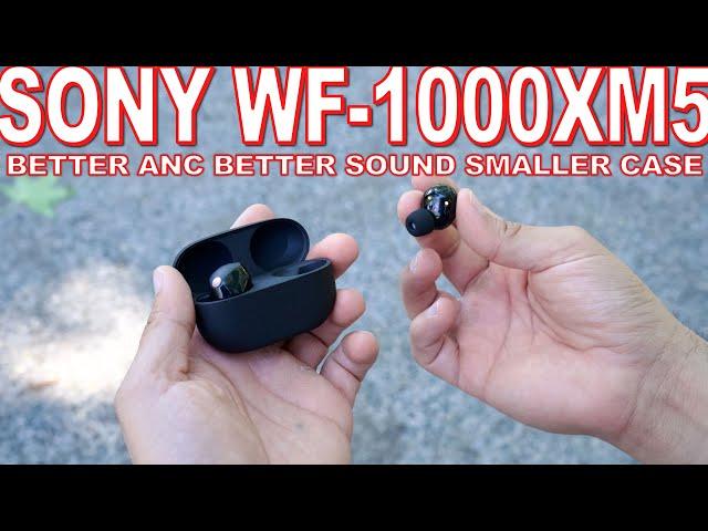 Sony WF-1000XM5 Review - Big Upgrades From The XM4's That I Didn't Expect