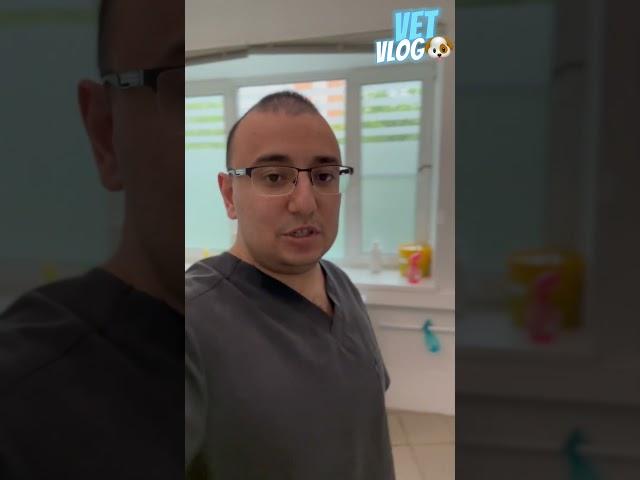 Опасный ️ препарат!? #vet #vetvlog #dog #veterinary #vetvlogs