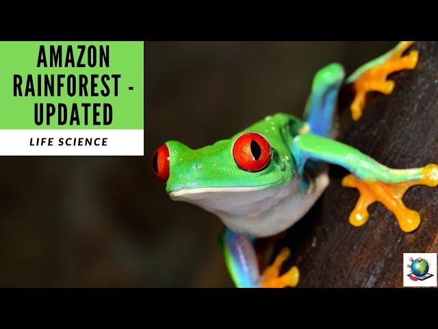 Amazon Rainforest - Updated - Preview