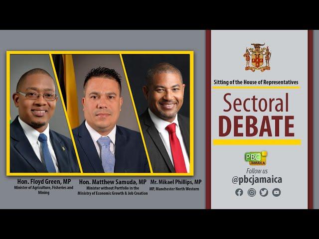JISTV | Sitting of the House of Representatives - Sectoral Debate