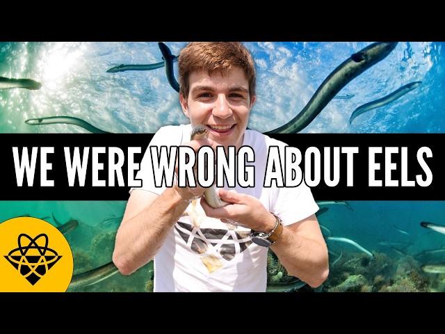 Why No One Knows How Eels Reproduce