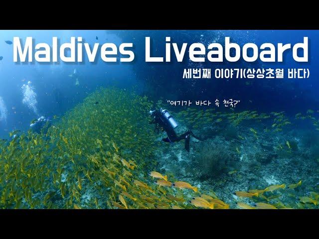 몰디브 리브어보드#3 [4k] l flynplay l maldives liveaboard l 만타를 2시간 넘게 보다 ㅣ 당게티섬으로 외출 ㅣ Diving Vlog 해외편️