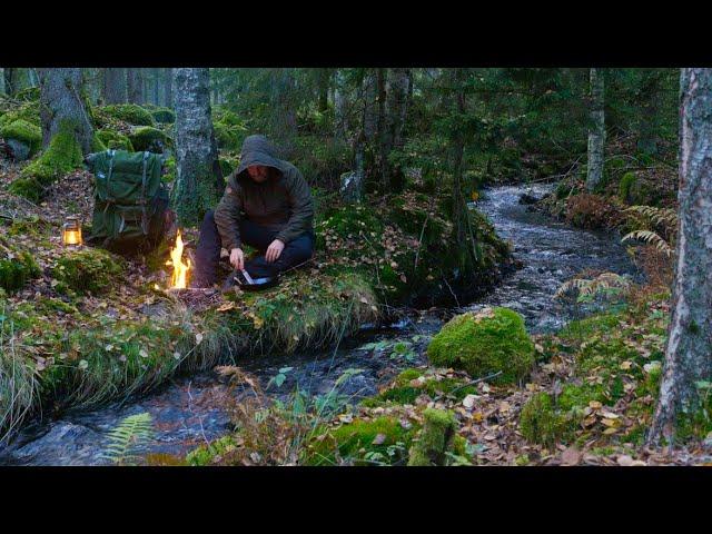 5 Days Bushcraft and Camping in the Wilderness