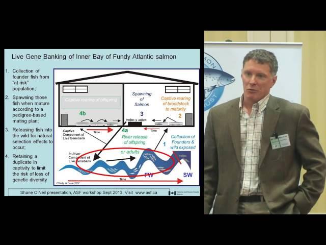 Jon Carr "ASF's salmon recovery programme workshop"