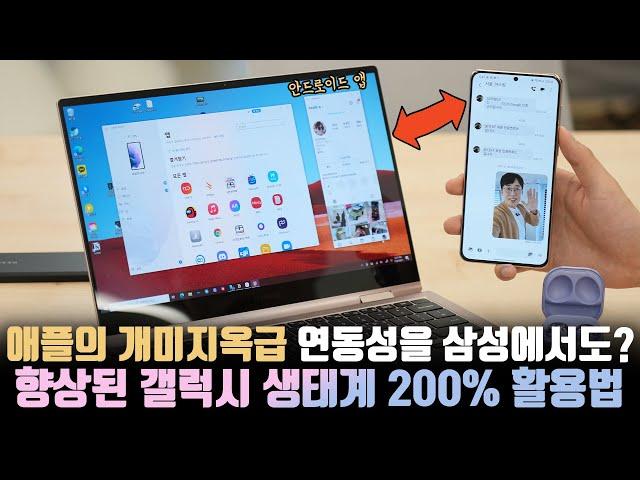 Using a laptop and a smartphone like one device? How to utilize Samsung's comfortable ecosystem 200%