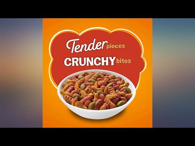 Purina Friskies Tender & Crunchy Combo Adult Dry Cat Food revieww