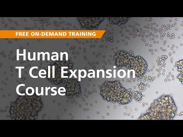 On-Demand Training: Human T Cell Expansion