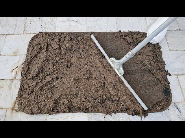 I Cleaned The World's DIRTIEST Rug Ever  : Ultimate Carpet Cleaning ASMR