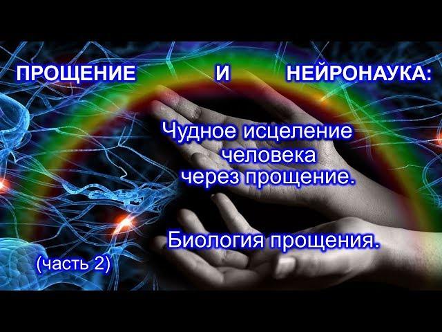 13. Прощение и Нейронаука. Чудное исцеление человека через прощение (часть 2)