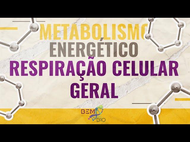 Metabolismo Energético - Respiração Celular - Geral